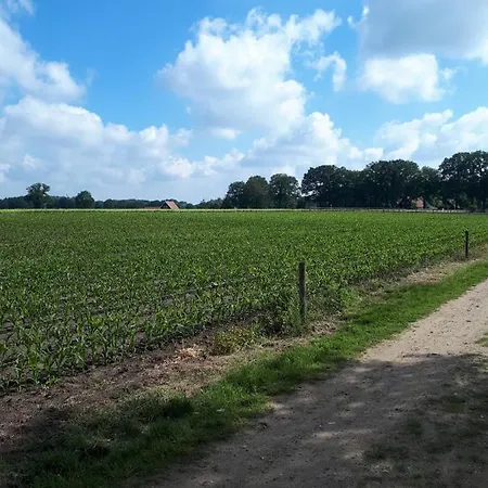 De Malle Molen *